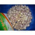 Hot Sale Fresh Normal White Garlic